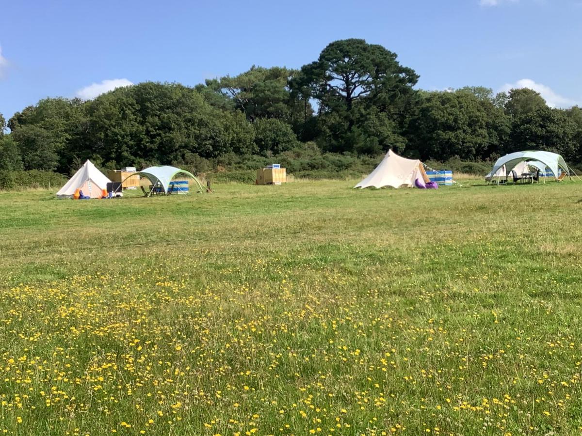 威尔汉姆 West Holme Glamping酒店 外观 照片