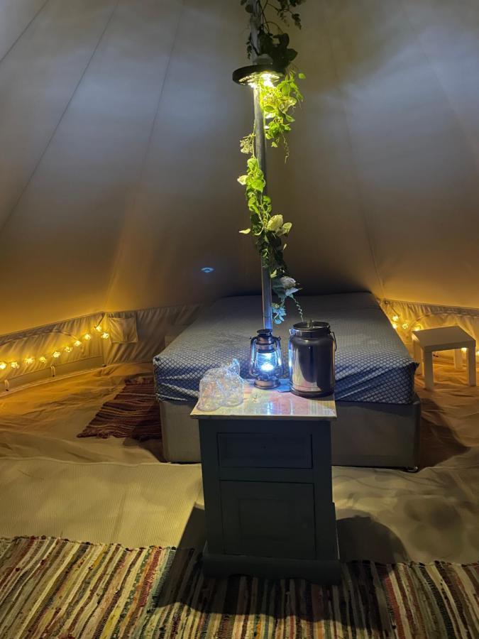 威尔汉姆 West Holme Glamping酒店 外观 照片